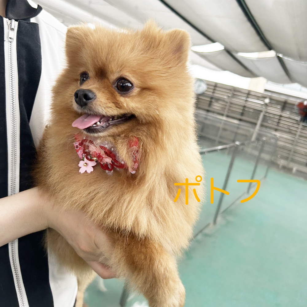 生徒が撮影した写真☆☆☆②